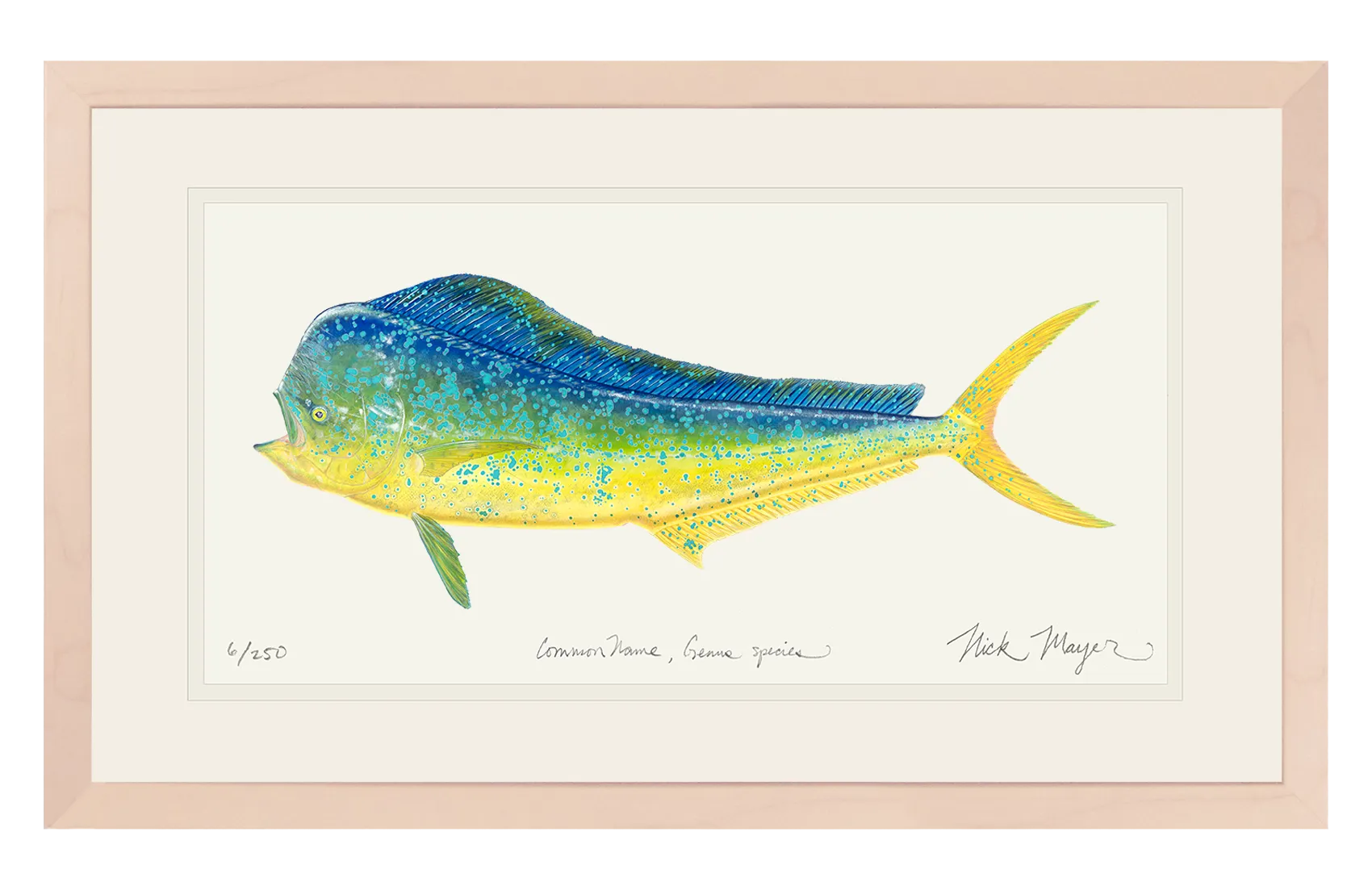 Bull Dorado/ Mahi Print - Best Seller